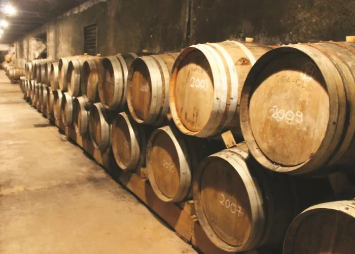 Heilige Efigenie By Interhome Ferienhaus Lourinhã